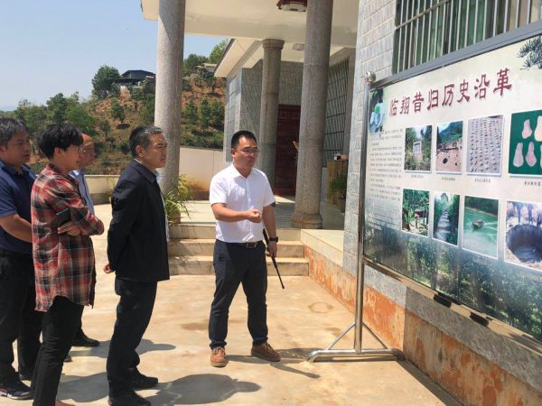 听取昔归国际茶文化特色小镇建设规划