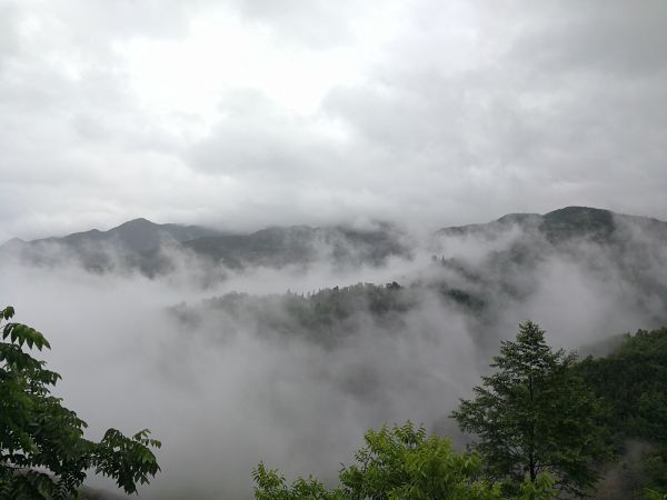 IMG_20180530_193559