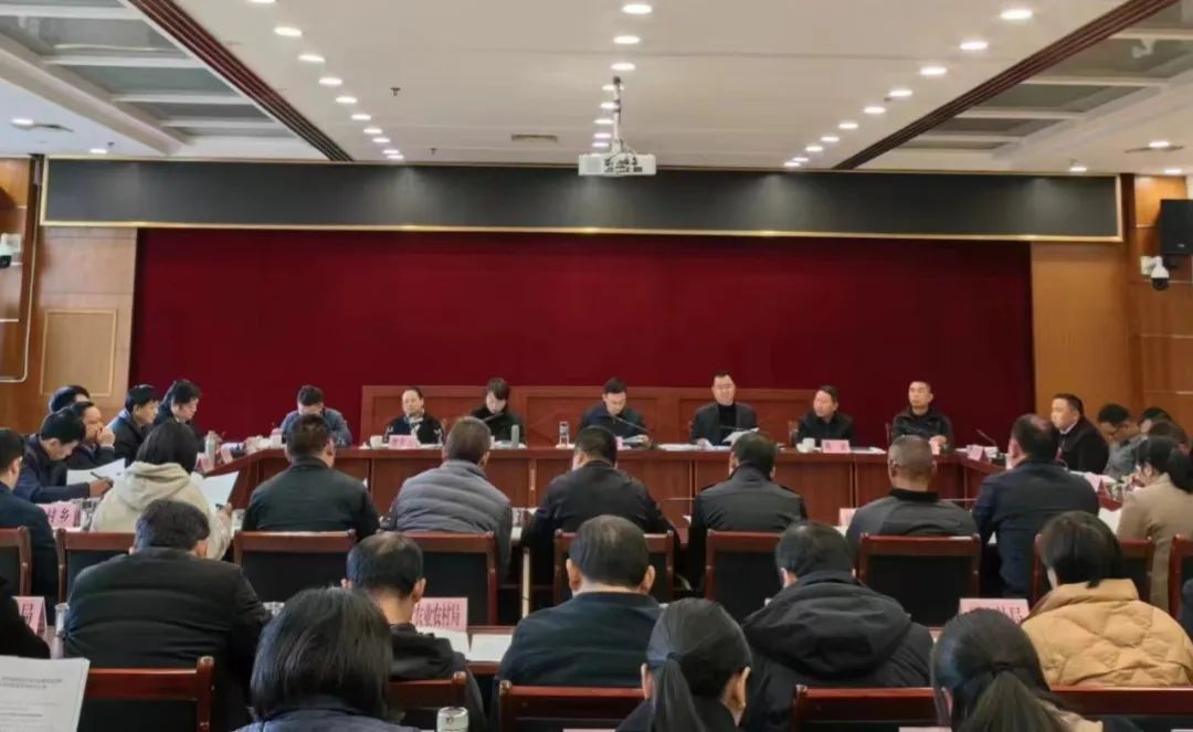 我区召开2024年一季度安全生产调度会议、经济运行调度会议及全区生态环保专题会议
