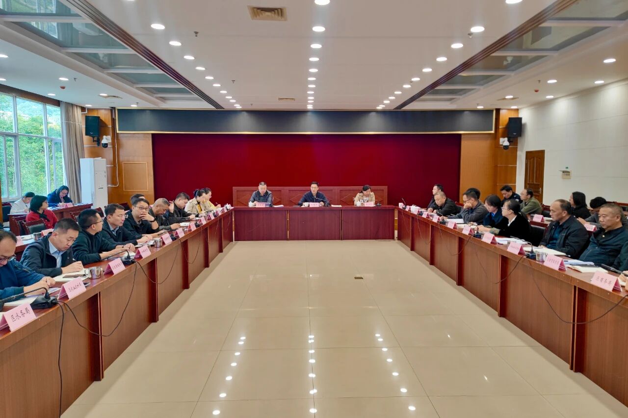 区人民政府党组会议暨区五届人民政府第67次常务会议召开