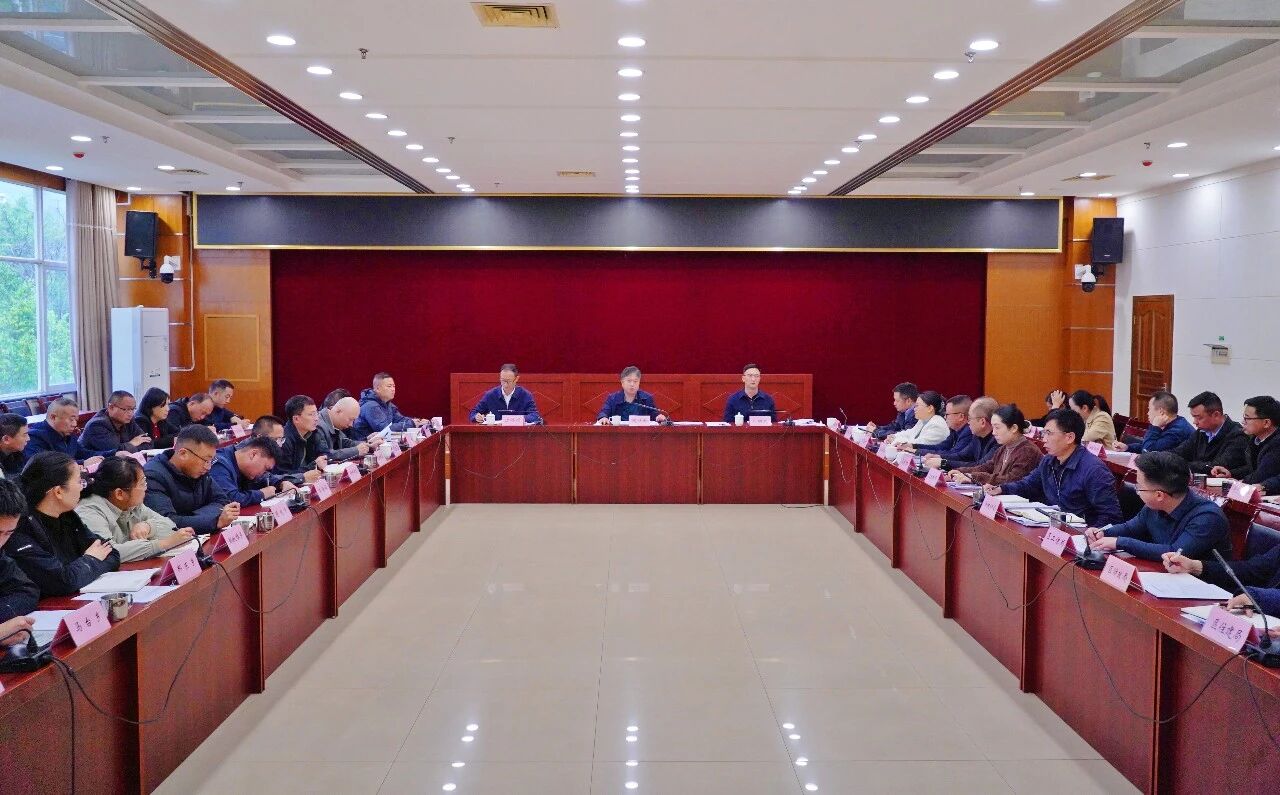 全区经济运行和项目投资工作推进会强调 锚定目标实干笃行 以实绩实效拼出发展新态势