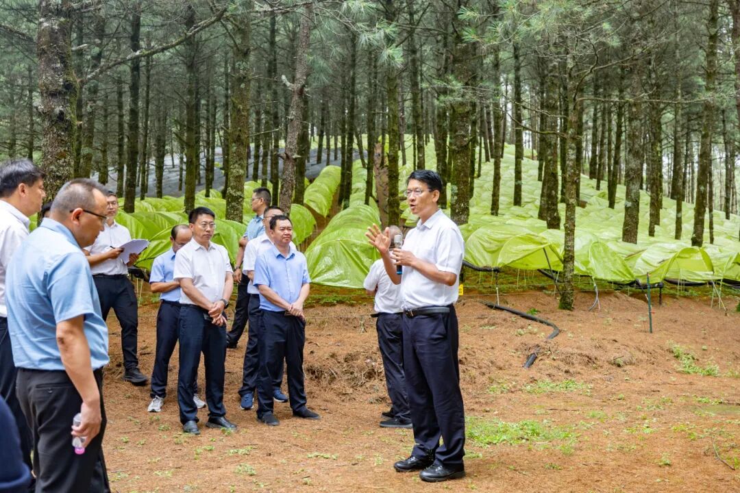 徐贤在现场办公会上强调 盘活资源 用好政策 系统提升产业发展质效