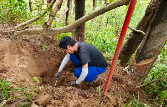 1762930630596097253.png 1.png