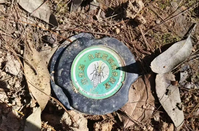 1762931151510075156.png 2.png