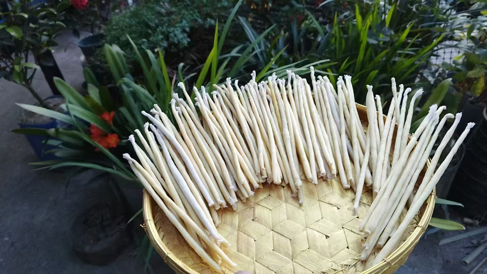 2025年临翔非遗保护再添新活力